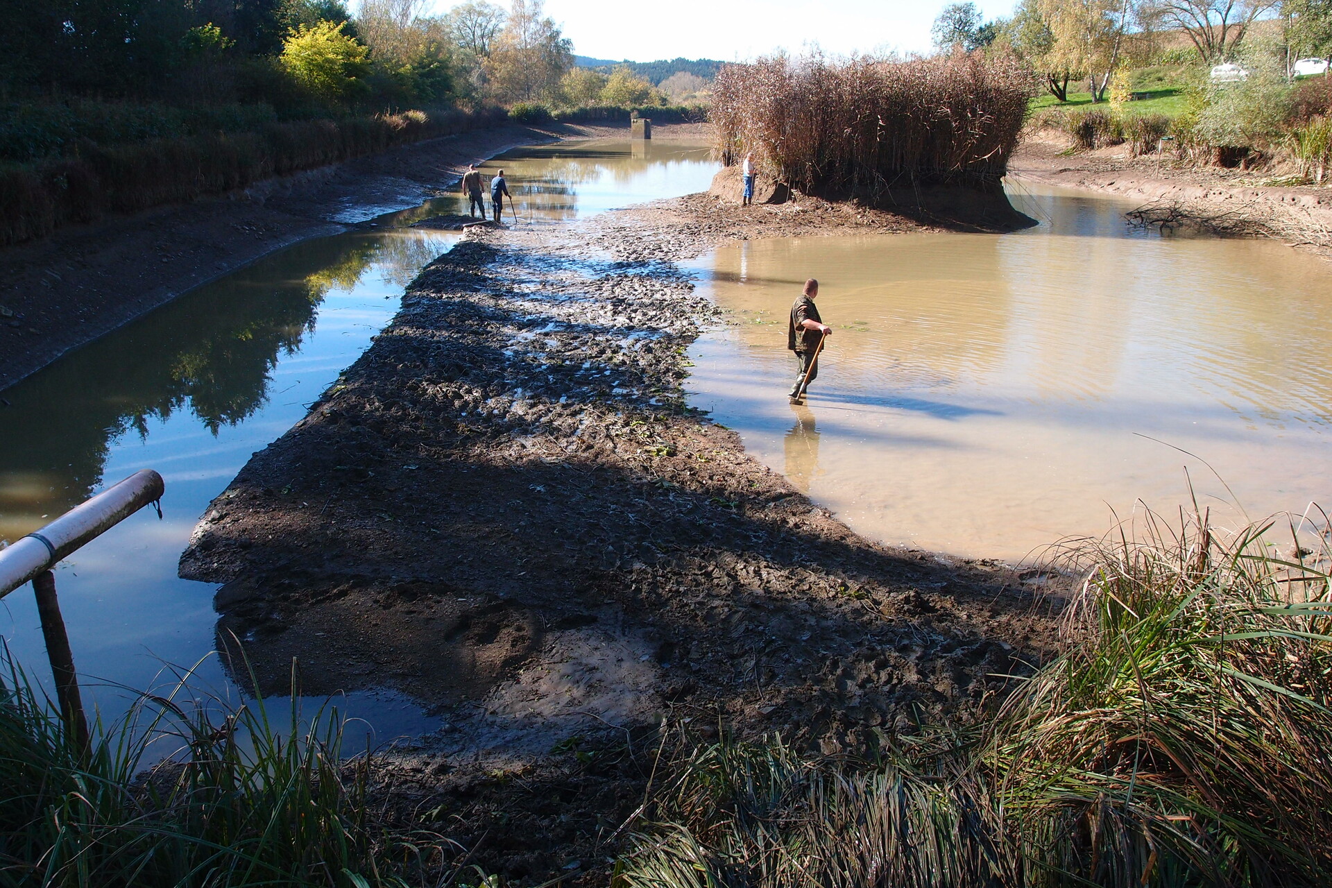 Galeriebild: PA183137